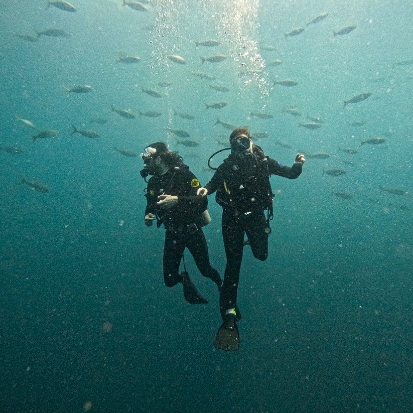 Master Scuba Divers surrounded by a school of fish in the pacific waters of Guanacaste diving from Flamingo, Costa Rica
