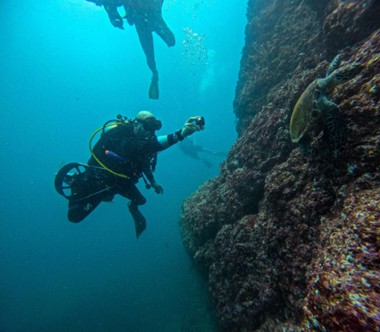 Clients shooting photos of coral reef while scuba diving Costa Rica off of the coast of Flamingo, Guanacaste.