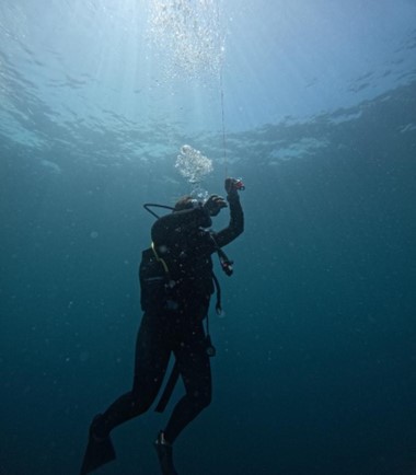 Diver perfroming a delayed surface marker buoy dive off of the coast of playa Flamingo, Guanacaste, Costa Rica