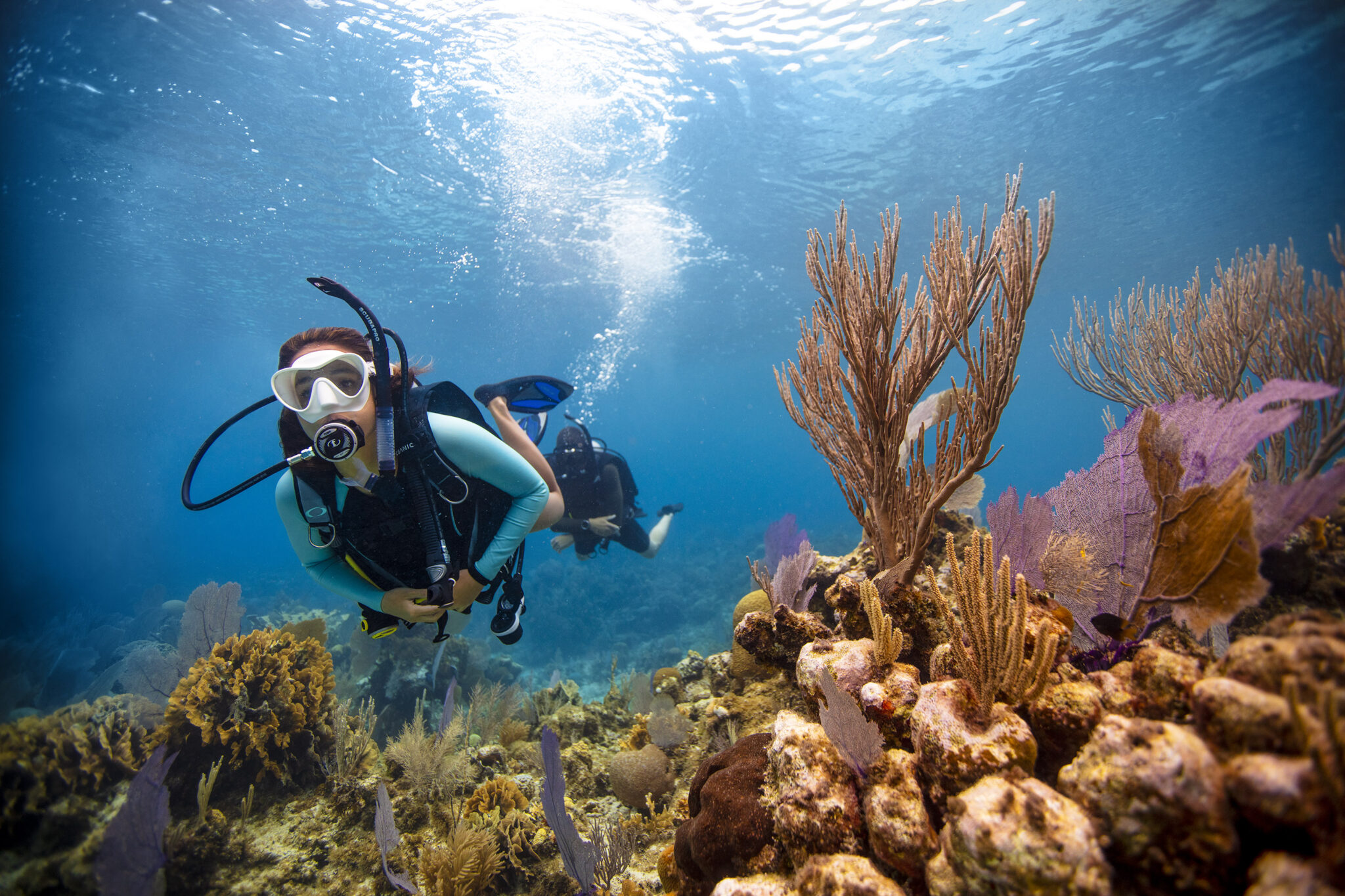 Coral Reef Conservation Scuba Diving Costa Rica - Diver learning about coral reef conservation in Guanacaste