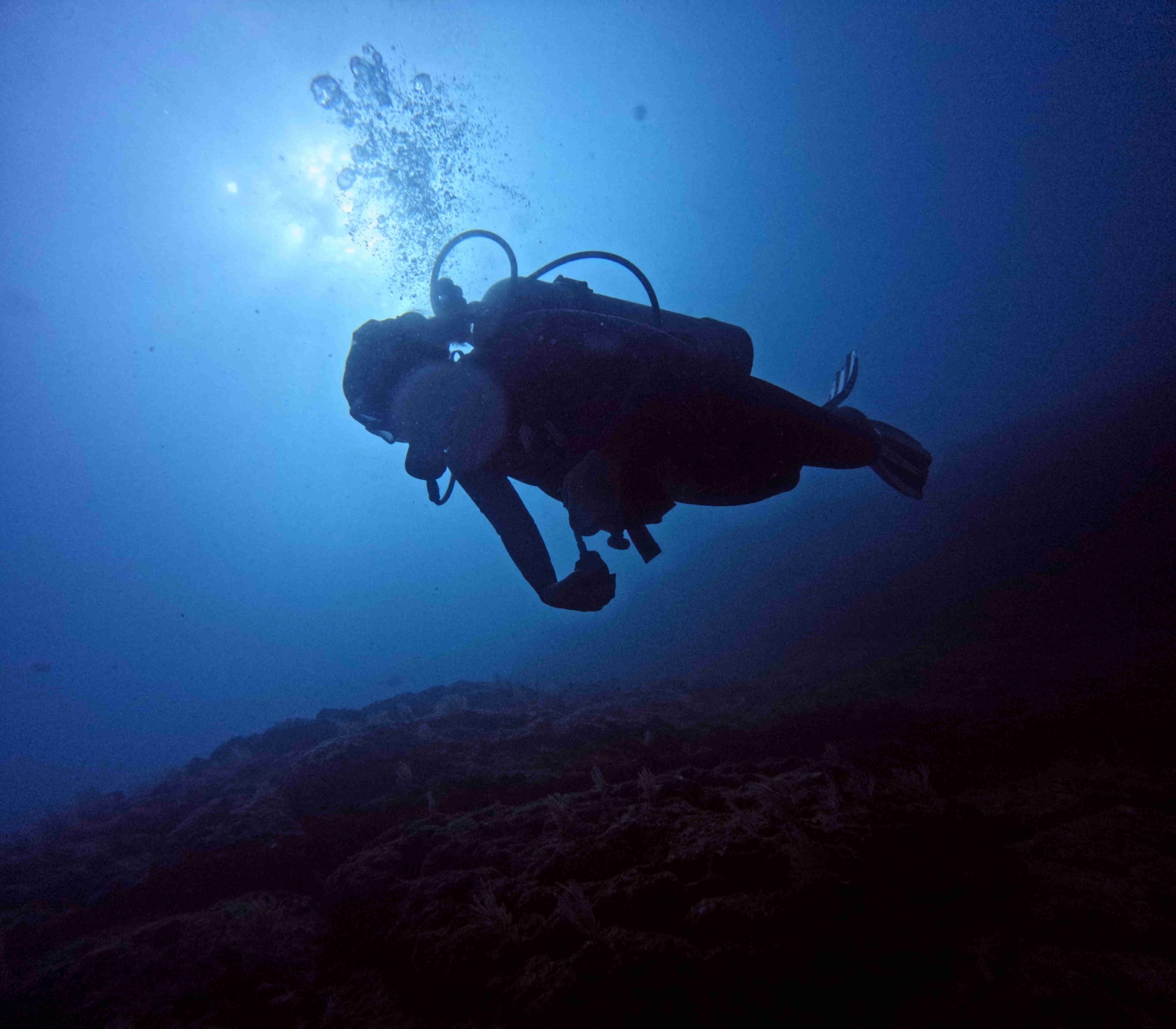Advanced Open Water Guanacaste Diving Course - The Best Scuba Diving in Costa Rica at Under The Sea Diving