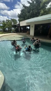 PADI Certification Costa Rica courses at Under The Sea Diving in Playa Potrero