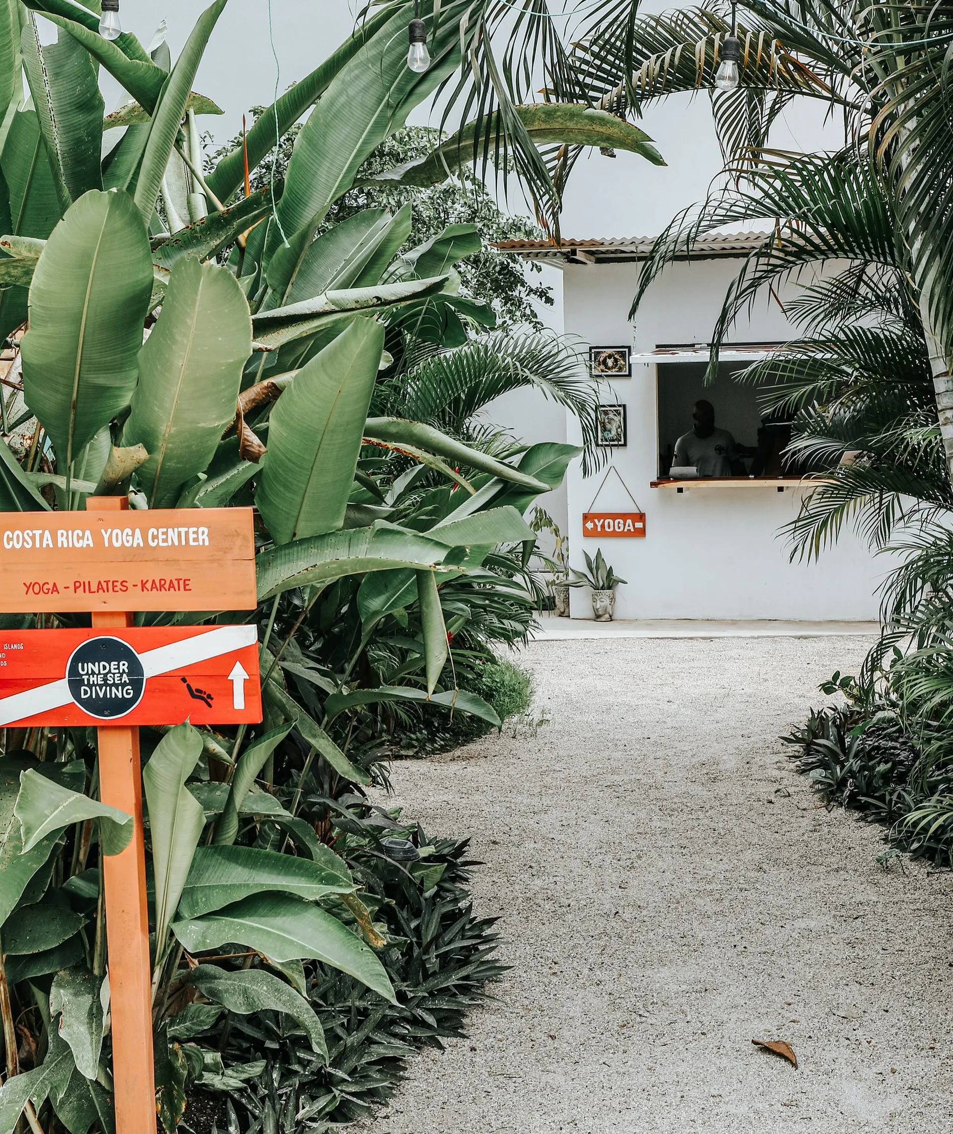 The Entrance to Under The Sea Diving | Rustic wooden sign surrounded by palm trees, your point of view as you start the process of PADI certification in Costa Rica