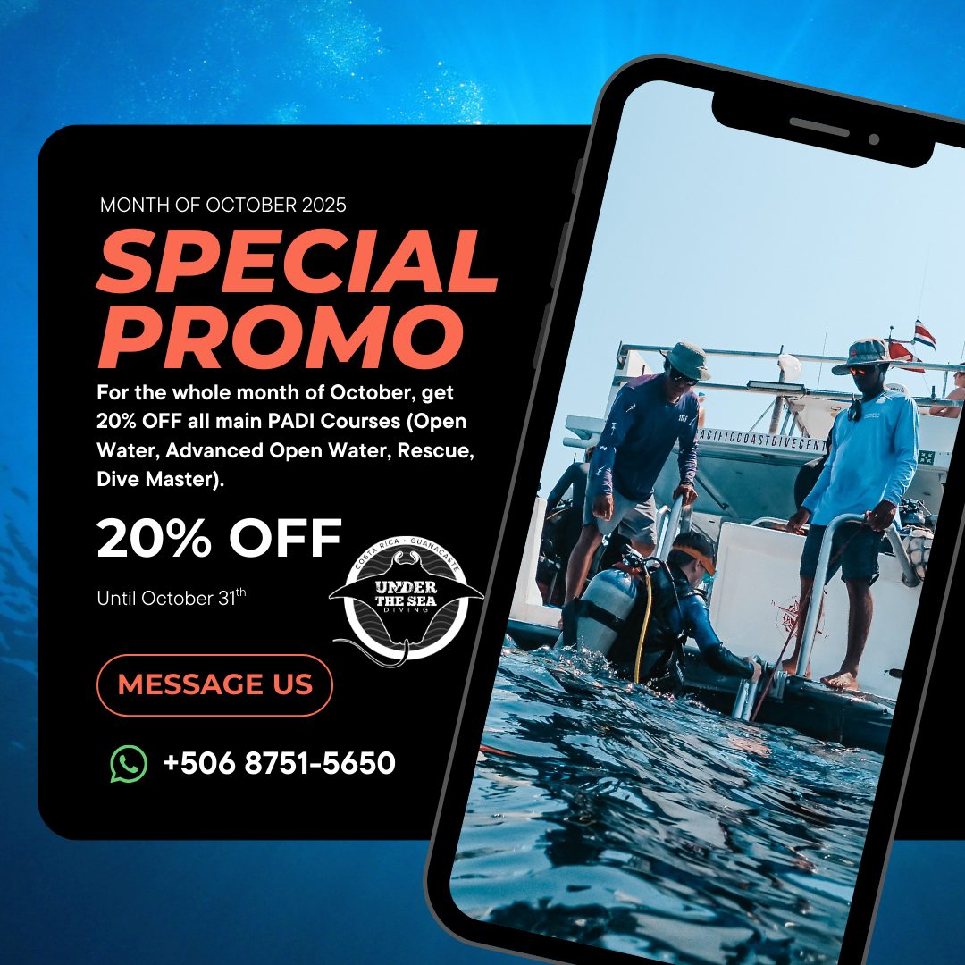 Promo Flyer for 20% off PADI courses