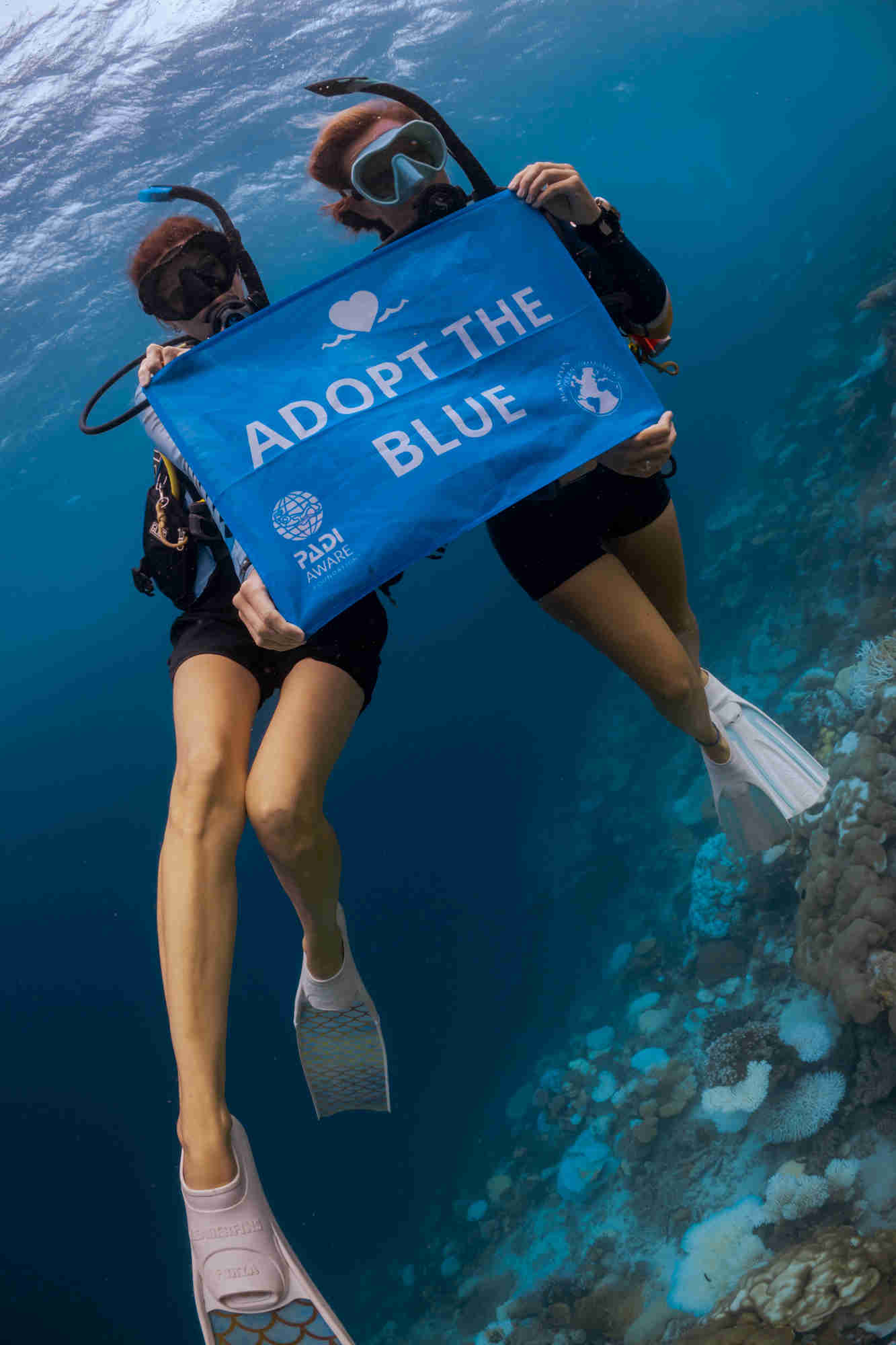 Newly certified PADI divers in Costa Rica holding an Adopt The Blue sign under the waters of the Pacific Ocean.